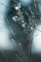 暴雪生存游戏《奥德赛》截图泄露 可惜该作已被取消